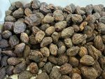 Kuru Kayısı (1 Kg)