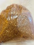 Kars Kavılca Buğdayı (1 Kg)